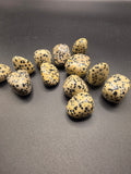 Dalmatian Jasper Tumble – 18 to 27gm