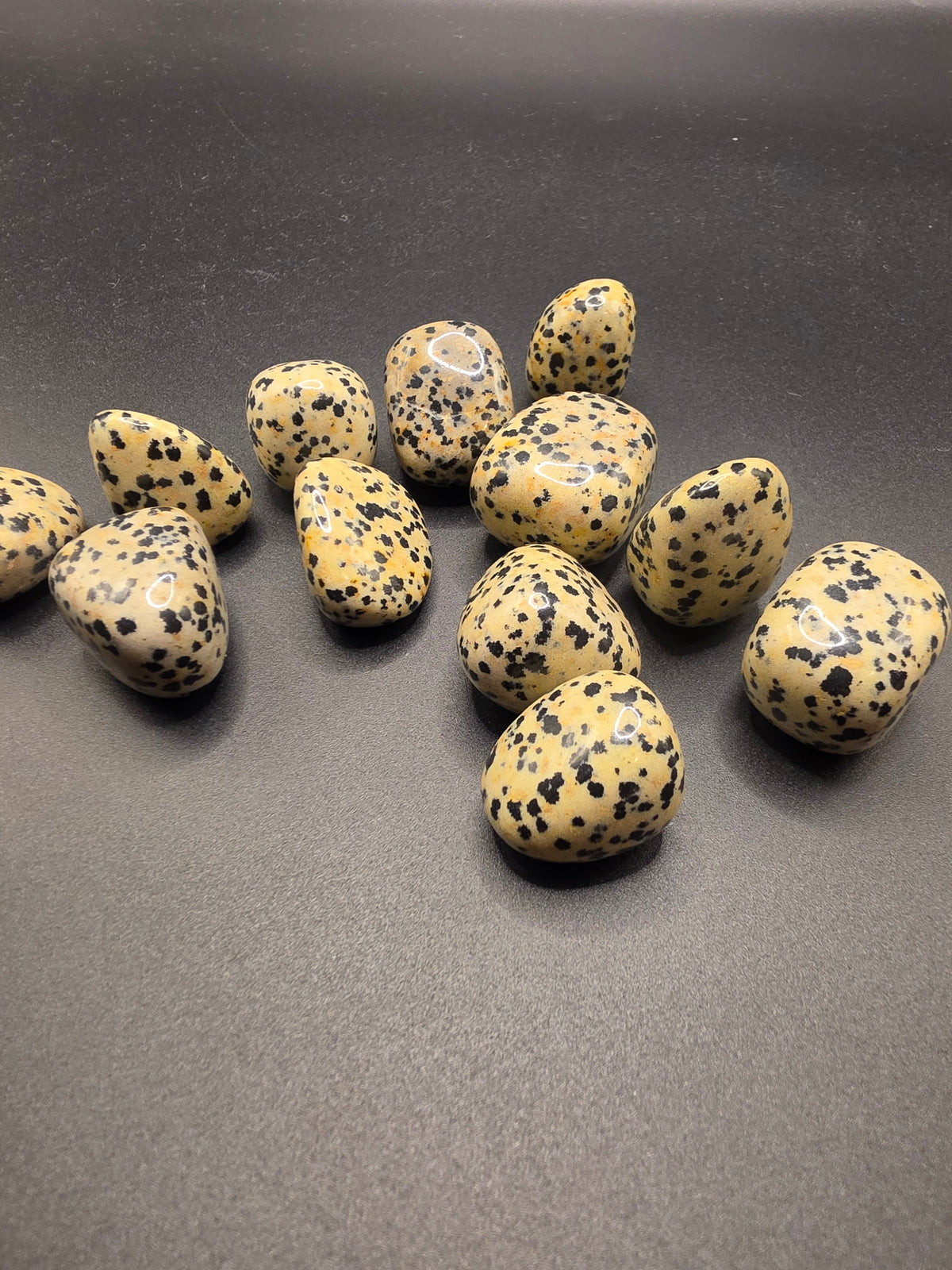 Dalmatian Jasper Tumble – 18 to 27gm