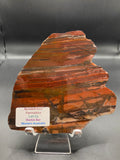 Banded Iron Formation – 320g, Marble Bar WA (3.45 Billion Years Old)