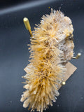 Golden Mimetite Specimen 73g
