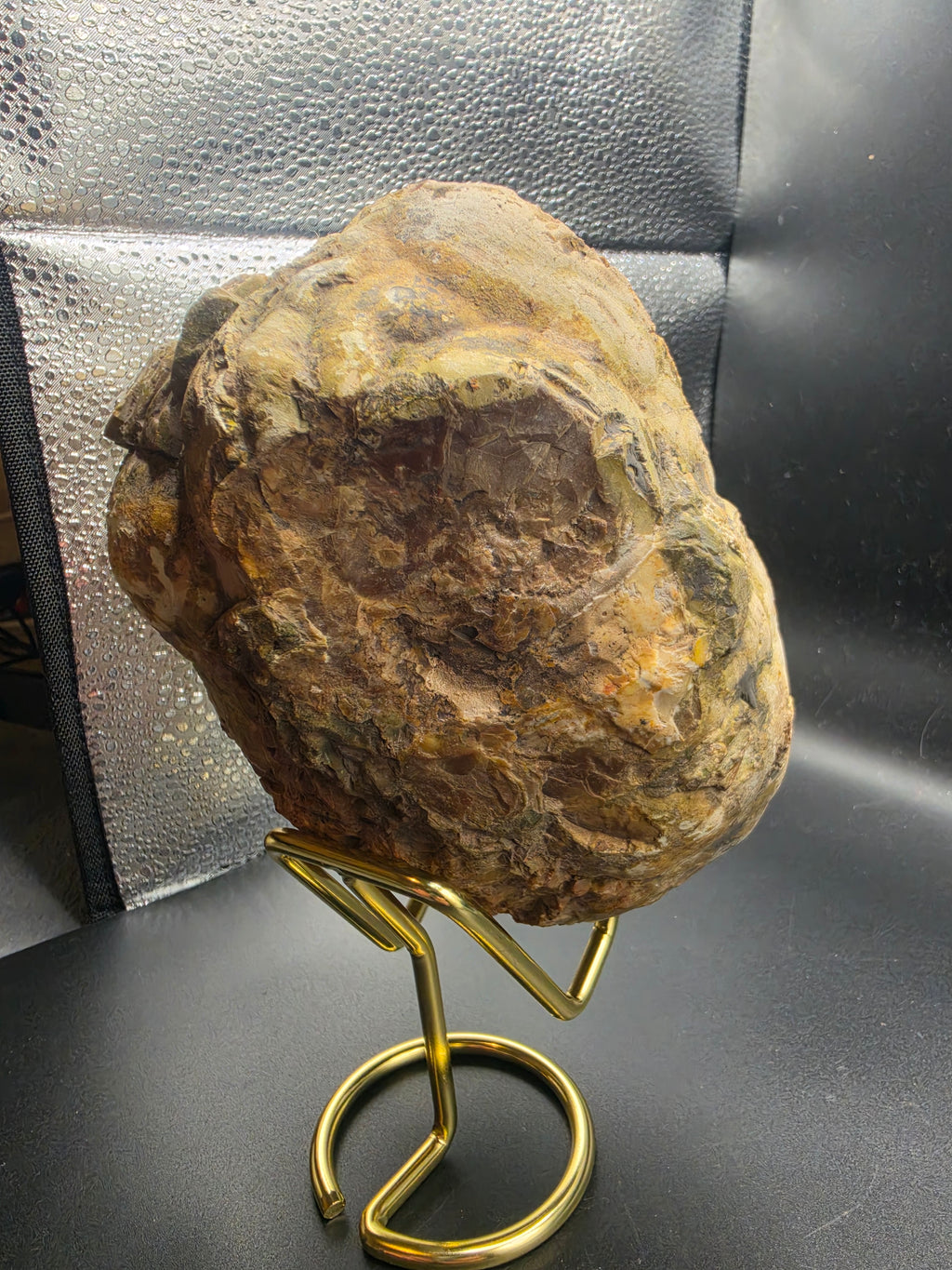 Huge Thunder Egg – Western Australia