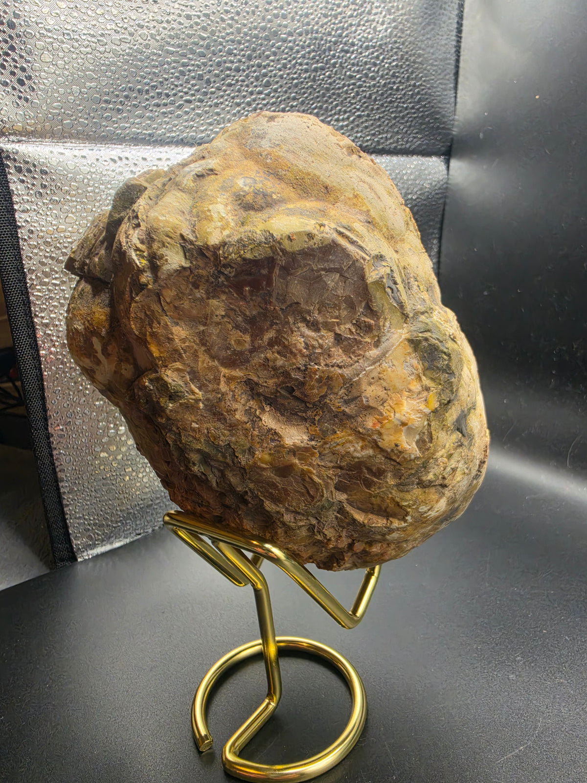 Huge Thunder Egg – Western Australia