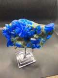 Chalcanthite – Nanisivik Mine, Nunavut Canada | 1.1kg Specimen