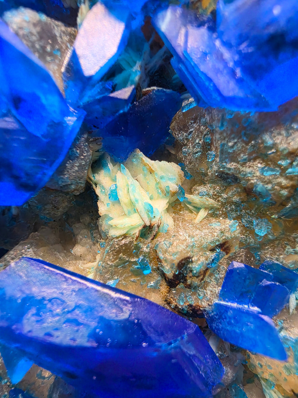 Chalcanthite – Nanisivik Mine, Nunavut Canada | 1.1kg Specimen