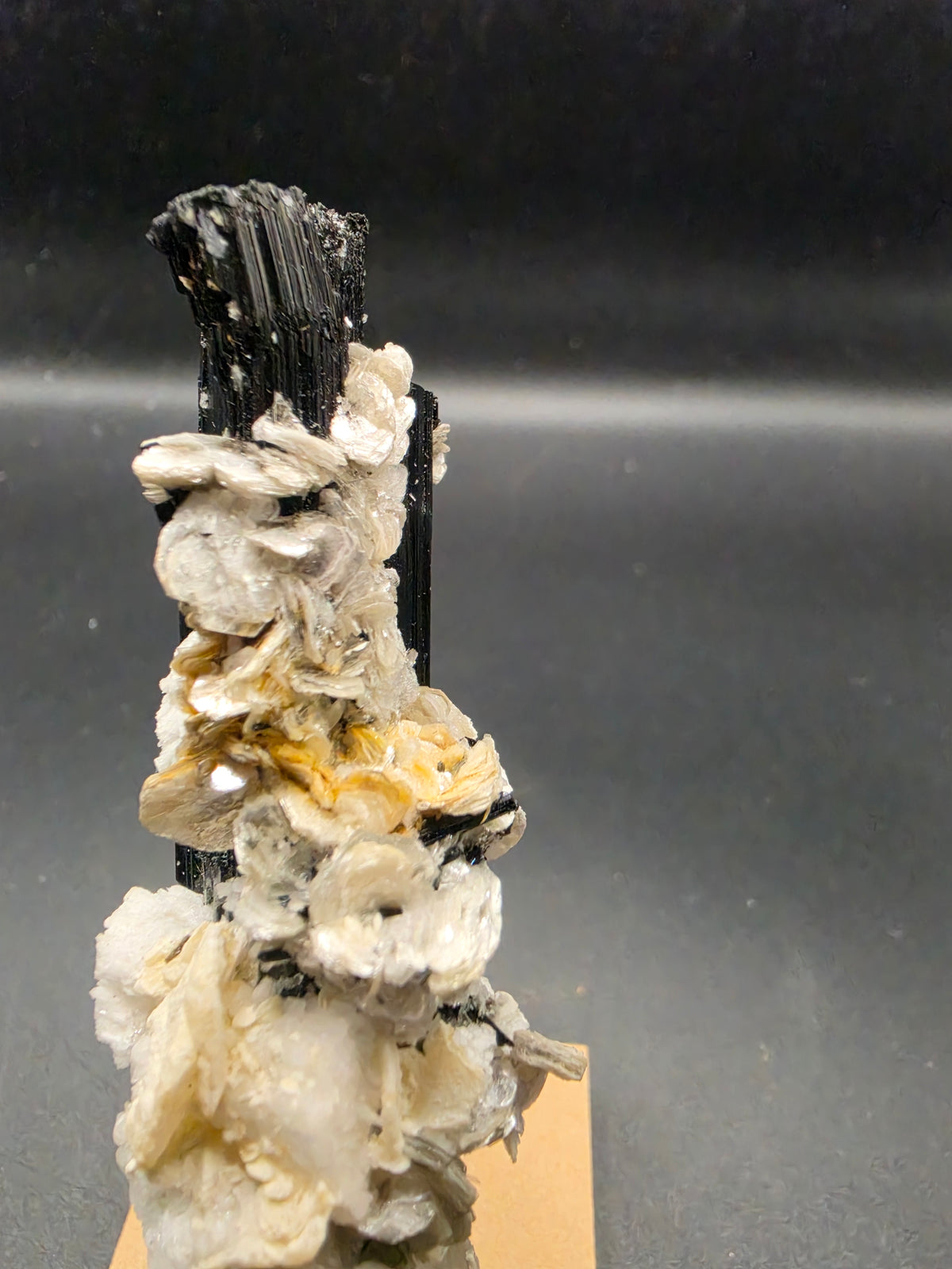 66g Black Tourmaline, Elbaite & Muscovite – Pakistan
