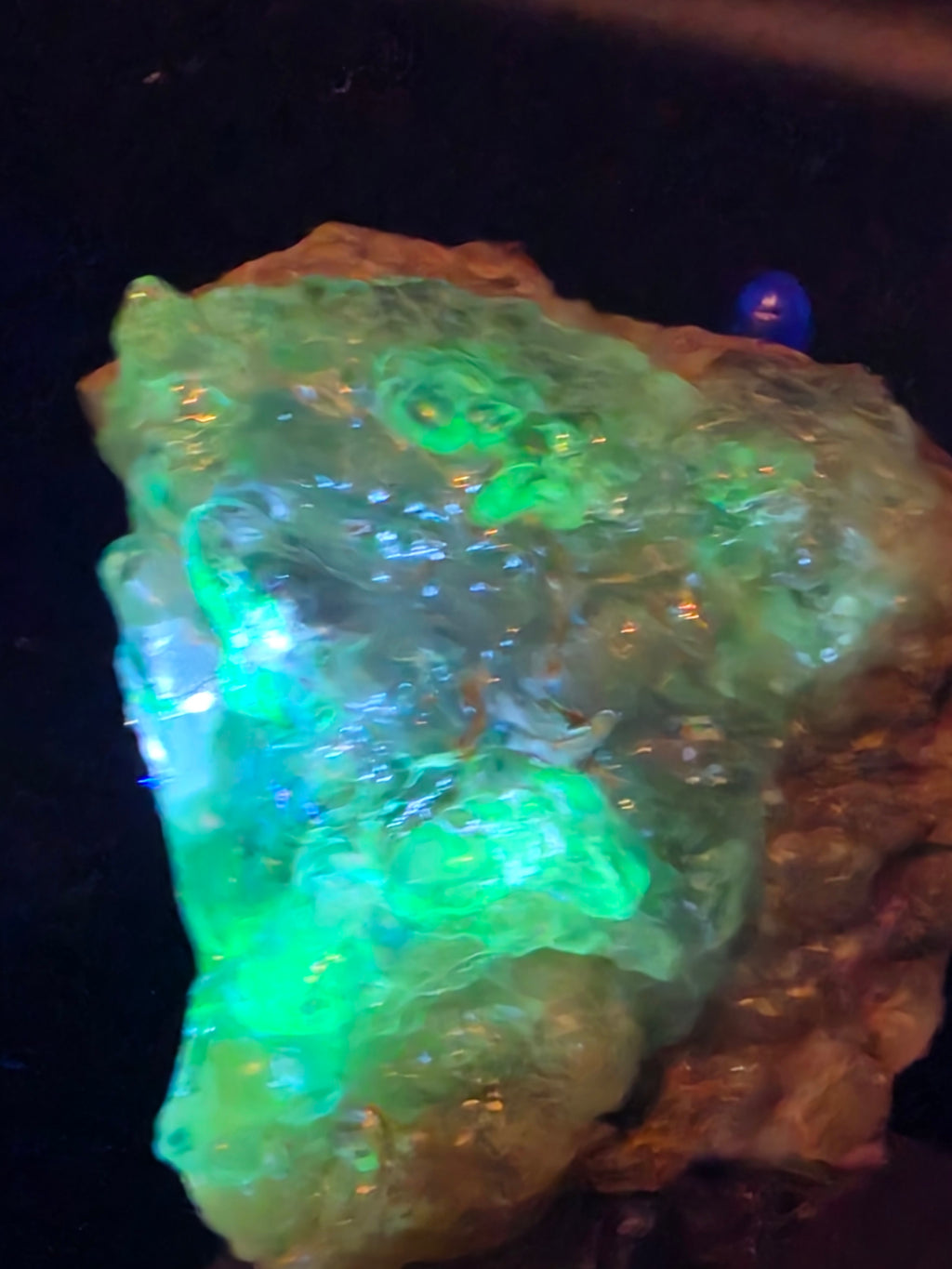 Hyalite Opal from Mexico, 870 ct