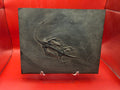 Keichosaurus Fossil, Jialingjiang Formation, Sichuan Basin, China