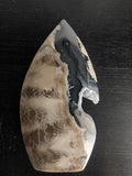 Orca Agate Geode Polished Point
